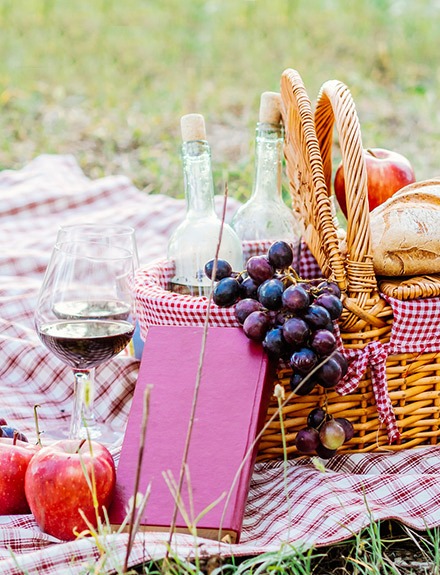 El picnic perfecto