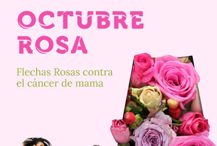 OCTUBRE ROSA